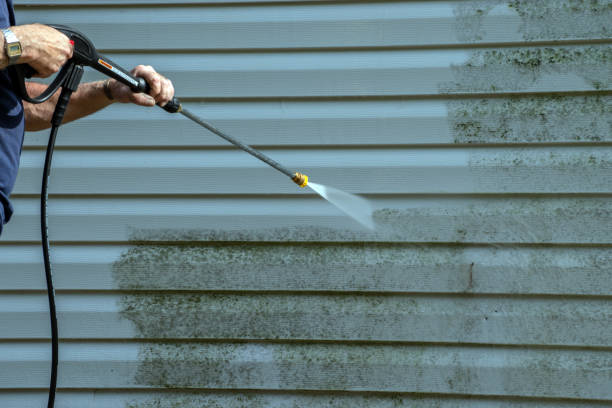 Professional  Pressure Washing Services in Erwinville, LA